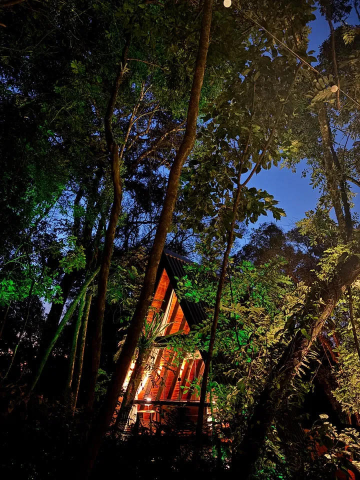 A cabana iluminada à noite, vista de baixo entre as árvores